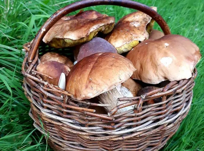 Bella Casa de hóspedes 2*